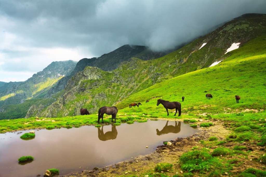 Stara planina Srbija