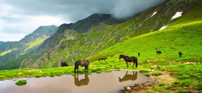 Stara planina Srbija